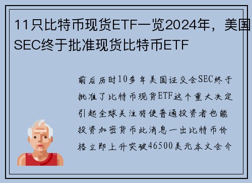 11只比特币现货ETF一览2024年，美国SEC终于批准现货比特币ETF